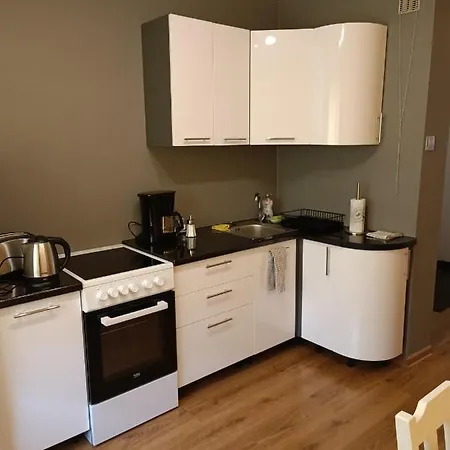 Cozystaytartu Appartement *